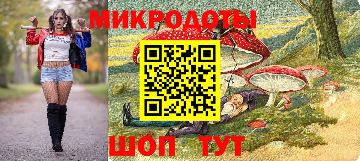 Галлюциногенные грибы Cubensis Усть-Джегута