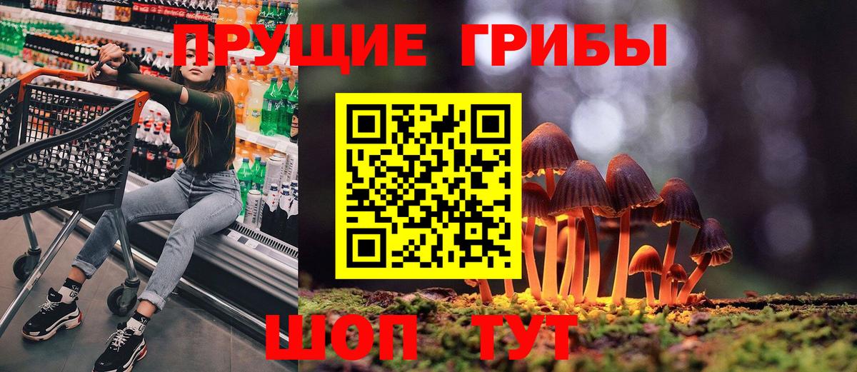 Галлюциногенные грибы GOLDEN TEACHER  Вход с VPN  Усть-Джегута 